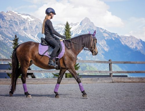 Équitation à 5 minutes