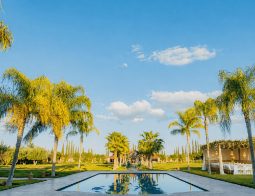 Souccot à Marrakech : vivez les fêtes en famille à Villa Fratelli